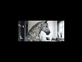 lofi music with Mr.Knight keep exploring keep growing #lofi #lofimusic