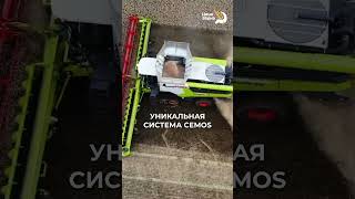 Комбайны 1 000 000 $$$! #трактор #сельскоехозяйство