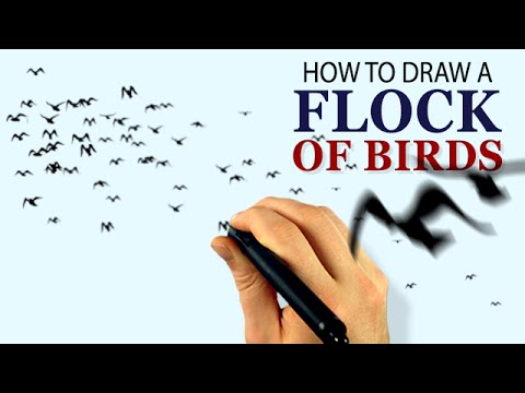 How To Draw A Flock Of Birds Corel Painter Tutorial Youtube,Types Of Hamsters