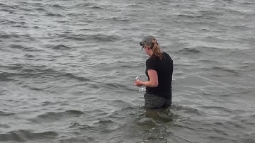 Monitoring water quality at the beach; a behind the scenes look with RI Dept. of Health