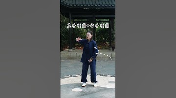 The essence of Tai Chi is to draw circles. All movements are either circles or arcs. H