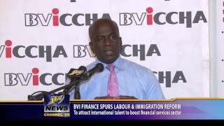 BVI Finance Spur labour And Immigration Reform