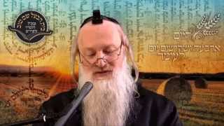 ארבעה ושלושים יום לעומר - הרב סטבסקי