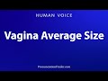Aussprache Der Durchschnittlichen Vaginagröße Ausspracheanleitung Leicht Verständlich Lerne