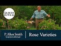 Growing Rose Varieties | Garden Home (703)