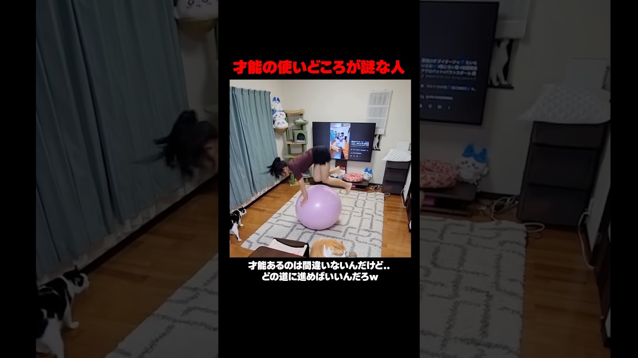 才能の使いどころが謎な人ｗ