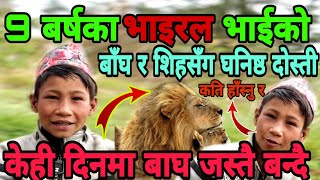 9 बर्षका भाइरल भाईले  बाघ  र सिहलाई गाडीमा चडाँएर लगे || कति हास्नु र हो भाइरल || dipesh thapa