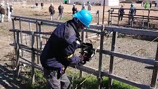 静岡県が強制収用に踏み切る　沼津・鉄道高架事業