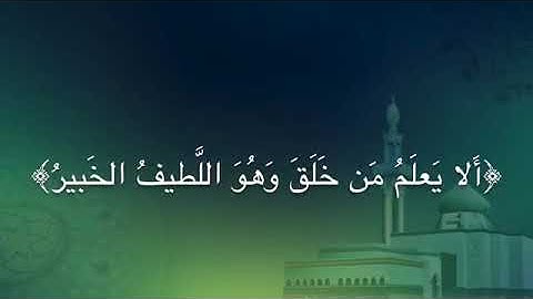 تلاوة هادئة من صلاة الفجر (سورة الملك) للشيخ عبدالله الموسى