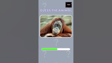 Are You SMARTER Than a 5th Grader? Can You Guess These Animals