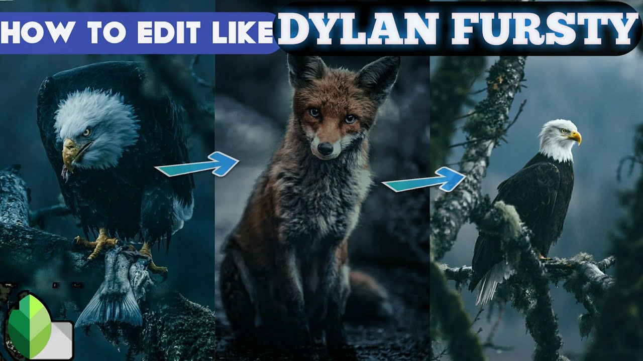 Edit like Dylan Fursty |Fursty photo editing|snapseed tutorial