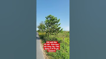 Đất nền HL16C,Vĩnh Hựu, Gò Công Tây, Tiền Giang 9,9*70 có 200m2 thổ giá 1tỷ650Tr#shorts #bds #nhadat