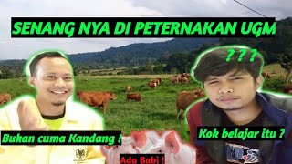 PETERNAKAN UGM #Sharingjurusan. Senang sekali kuliah di Fakultas Peternakan UGM