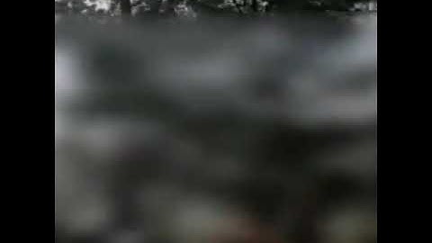 Video Pendek Dari Silat Spring 12