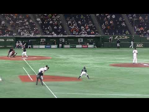 ヤクルト山崎 井納から四球選び荒木 貴裕 代打で内野安打を放つ【2021年3月3日読売ジャイアンツVSヤクルトスワローズ】