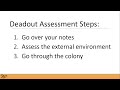 Kelsey Ducsharm, OBA TTP - Dealing with Deadouts