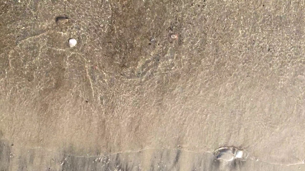 癒し系 砂浜 波打ち際の動画と画像 波の音と鳥の声 英語で何 癒し系 砂浜 波打ち際の動画と画像 波の音と鳥の声 英語で何