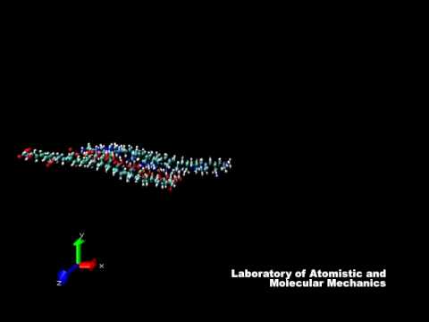 Steered molecular dynamics (SMD) simulation of PAA...