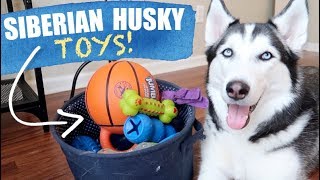 14 Best Husky Toys (Tested & Reviewed) - Dog Lab