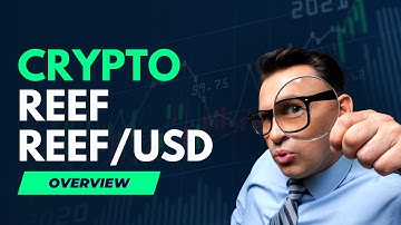 Reef Finance (REEF): Simplifying DeFi Accessibility and Liquidity Aggregation