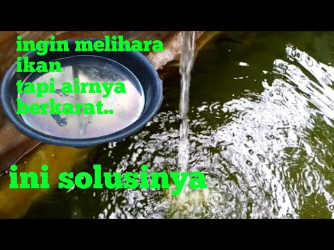 Video: Cat untuk karat - solusi sederhana untuk masalah yang kompleks