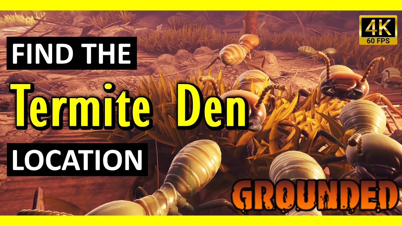 Termite Den Location | Grounded (2025)