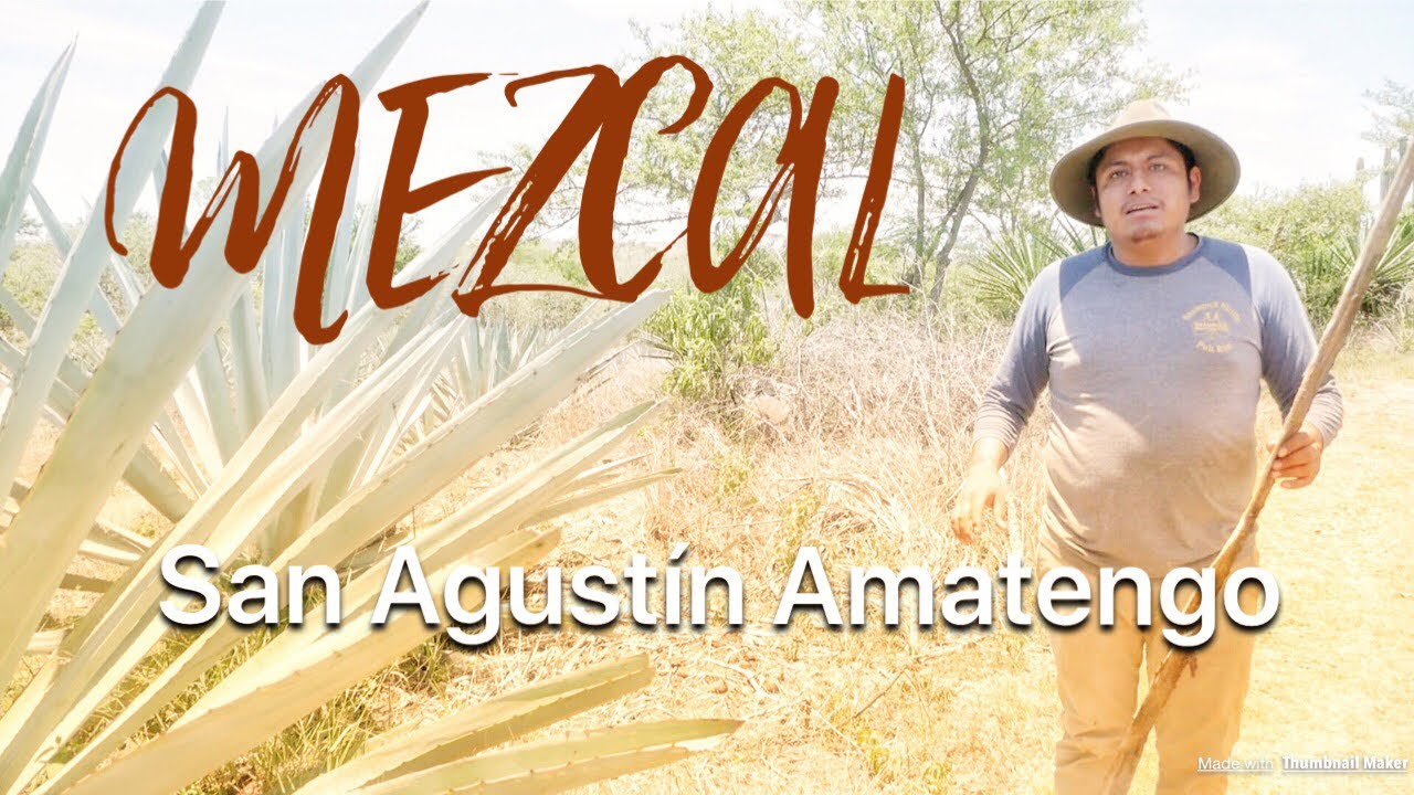 Cómo se hace el MEZCAL? Amatengo, Oaxaca. EXPEDICIÓN RANACHILANGA