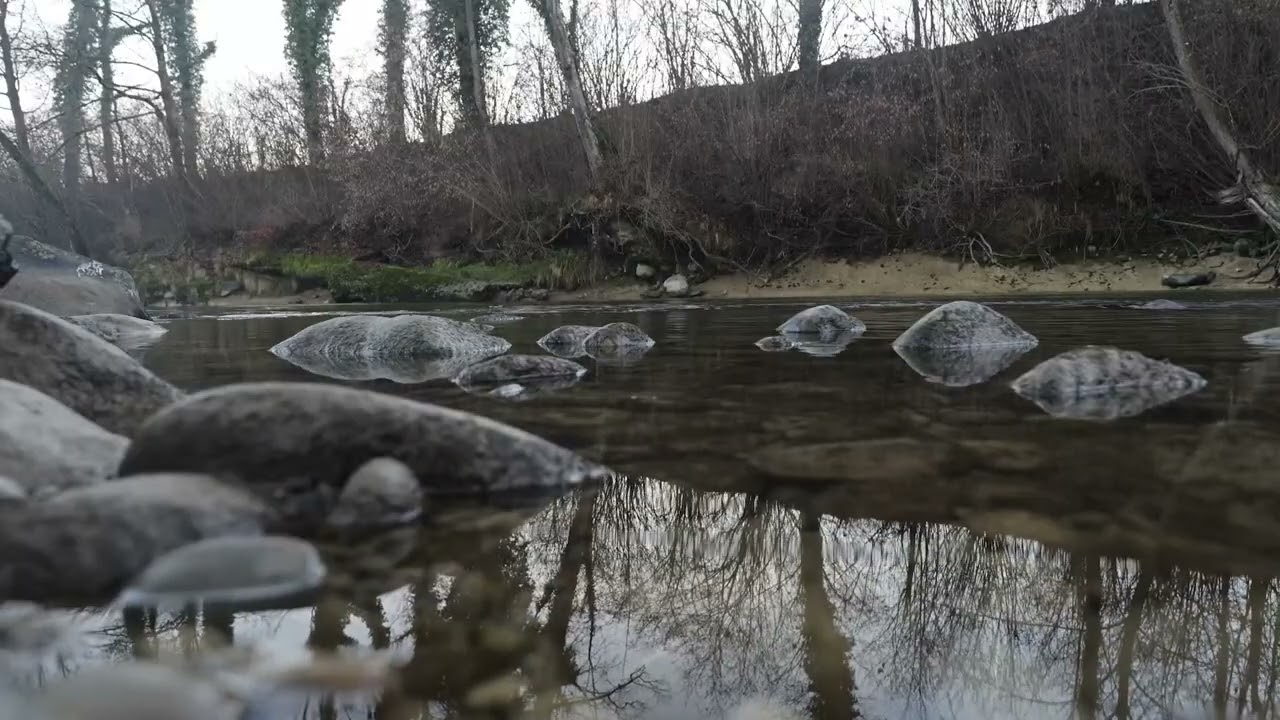 Tranquil Forest River 10 Hours | Pure Water Ambience for Sleep, Focus & Stress Relief