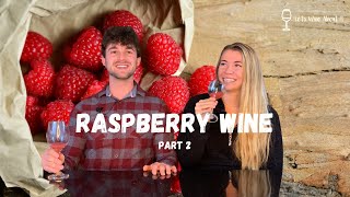 Raspberry Wine (Part 2) | Tasting + First Racking