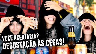 QUAL É A CERVEJA? TENTEI ADIVINHAR VENDADA "e veja só no que deu" - Luma Show