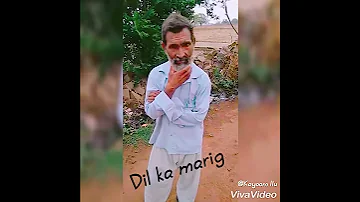 Ye duniya ye mehfil Mere kaam ki nhi song