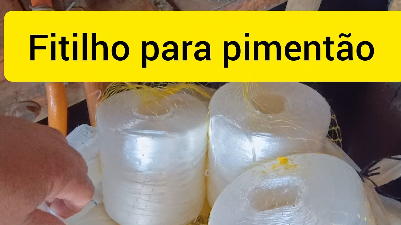 Pimentão dhara! Qual o melhor número do fitilho para passar no pimentão.
