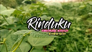 DJ SLOW - Rindu dihatiku ingin selalu bersamamu (RINDUKU - D'P@S4) viral TIKTOK by ID NEW SKIN 🔥