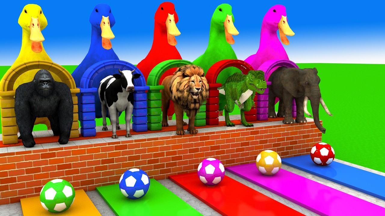 Long Slide Game With Cow Elephant Gorilla Hippopotamus Tiger 3d Animal Game Funny 3d Animals
