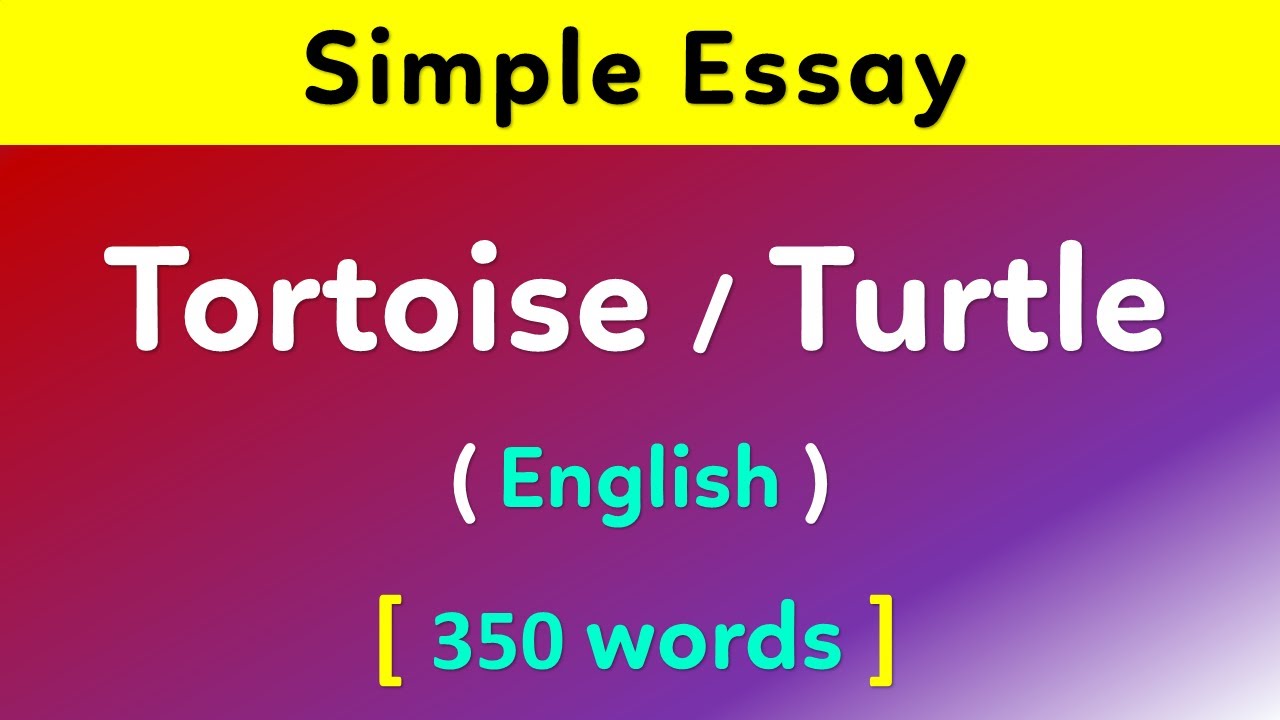 my pet tortoise essay