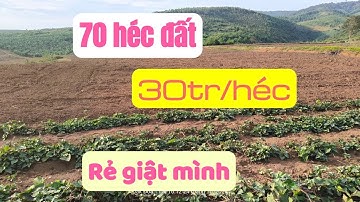 ( Vẫn còn) án đất nông nghiệp giá rẻ, bất động sản đất vườn daklak