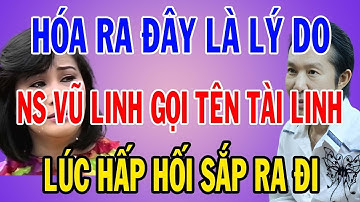 Lời Trăn Trối Cuối Cùng Của Vũ Linh Dành Cho Tài Linh Khiến Cả Giới Nghệ Sĩ Bật Khóc
