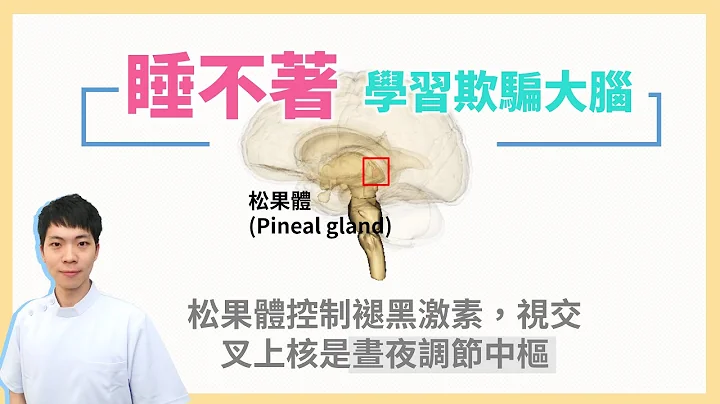 褪黑激素是什麼? 調時差? 幫助入睡?  |  健康護照 - 天天要聞