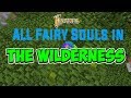 ALL 15 Fairy Souls in the Wilderness (Hypixel Skyblock)