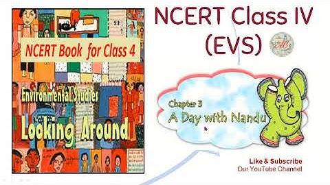 A Day With Nandu Chapter-3| NCERT Class 4 EVS | CBSE Class 4 EVS | Question & Answers |HINDI