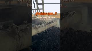 Un puño de fertilizante #fertilizante #biopost #cuidadodelsuelo #compostas #cultivos #composta