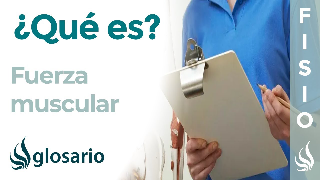 FUERZA MUSCULAR Qué es, cómo se entrena e importancia para el sistema musculoesquelético YouTube FUERZA MUSCULAR Qué es, cómo se entrena e importancia para el sistema musculoesquelético YouTube