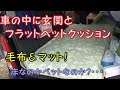 【フラットベット】ウレタン・スポンジ・布の代わりに、いつも使っている毛布とシートで代用したら少し硬めのベットになりました。しかし、カーペットと考えたら感触はGoodです。