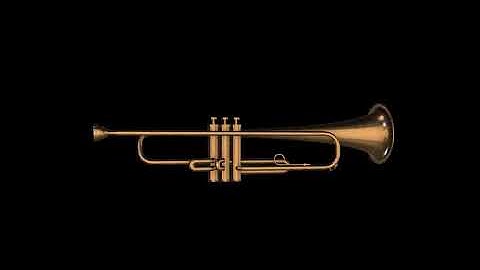 Trumpet