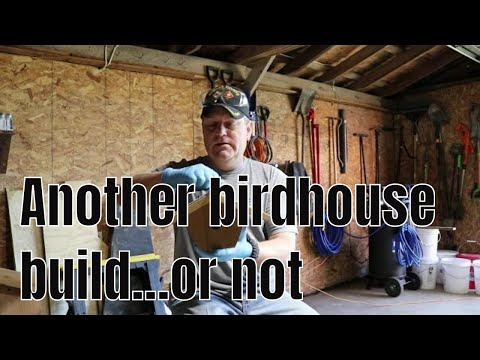 cardinal-birdhouse-build-and-fixing/staining-carolina-wren/chickadee-birdhouse