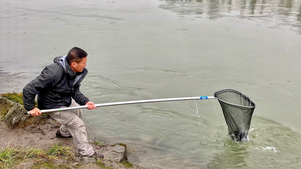 How to dip for Cowlitz River smelt 