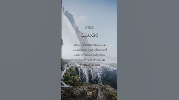 من سورة الحشر ✨#المنشاوي #حالات_واتس