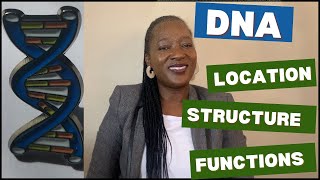 THE DNA MOLECULE | LOCATION, STRUCTURE AND FUNCTIONS
