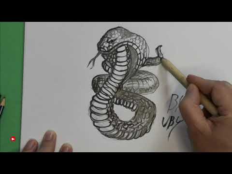 Video: Come Disegnare Un Cobra Con Una Matita Poco A Poco