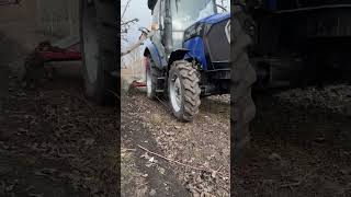 Revolutionize Your Garden: Ultimate Fertilization Guide for Orchards